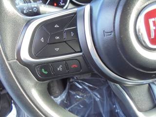 FIAT 500L usata 22