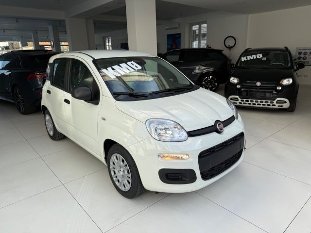 FIAT Panda usata, con Airbag Passeggero