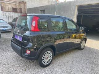 FIAT Panda usata 12