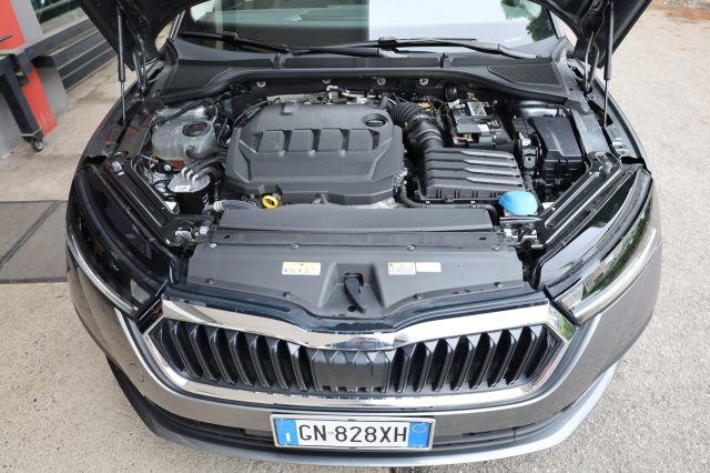 SKODA Octavia usata 172
