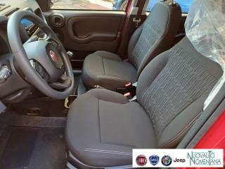 FIAT Panda usata, con Volante multifunzione