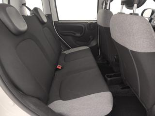 FIAT Panda usata 23