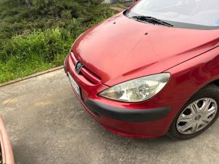 PEUGEOT 307 usata 10