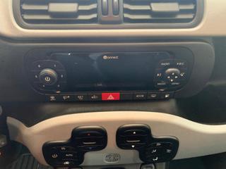 FIAT Panda Cross usata, con Airbag testa