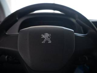 PEUGEOT Expert usata 13