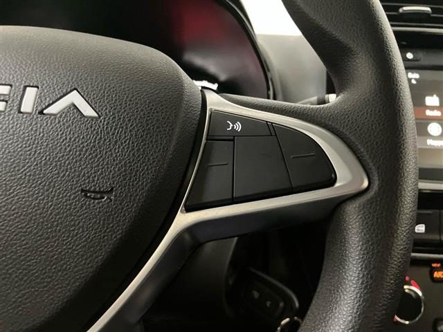 DACIA Spring usata 17