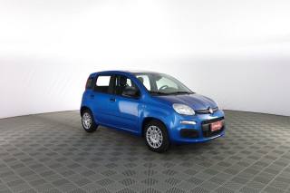 FIAT Panda usata 1