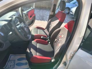 FIAT Panda usata 15