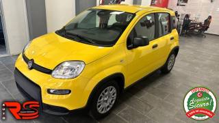 FIAT Panda usata, con Airbag laterali