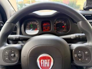 FIAT Panda usata, con Controllo trazione