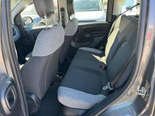 FIAT Panda Cross usata, con Chiusura centralizzata