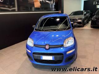 FIAT Pandina usata, con Alzacristalli elettrici