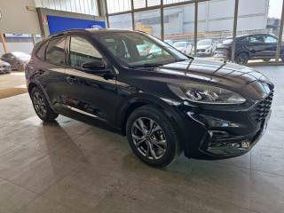FORD Kuga usata, con Cerchi in lega