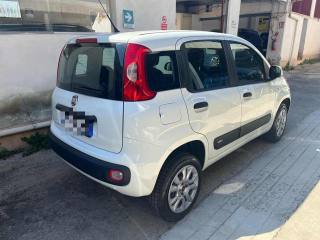 FIAT Panda usata, con Airbag Passeggero