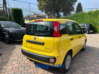 FIAT Pandina usata, con Airbag testa
