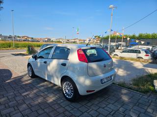 FIAT Punto usata, con Airbag Passeggero