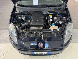 FIAT Punto usata 26
