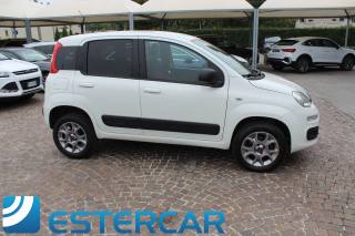 FIAT Panda usata, con Cronologia tagliandi