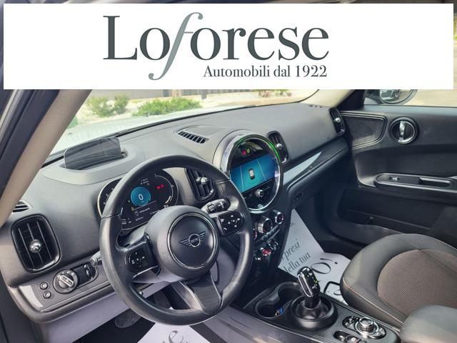 MINI Countryman usata, con Cerchi in lega