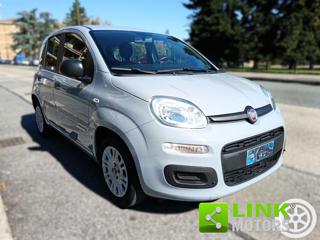 FIAT Panda usata, con Alzacristalli elettrici