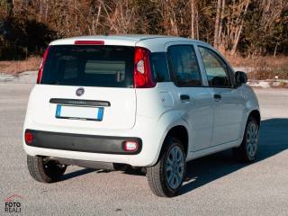 FIAT Panda usata 18