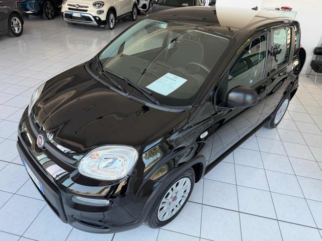 FIAT Panda usata, con Antifurto