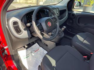 FIAT Panda usata, con Climatizzatore