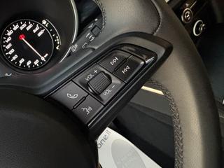 ALFA ROMEO Stelvio usata, con Volante in pelle