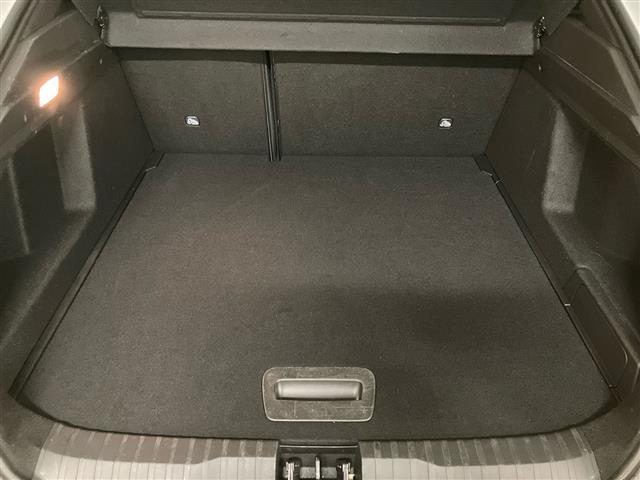 RENAULT Arkana usata 24