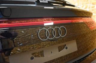 AUDI RS Q8 usata 20