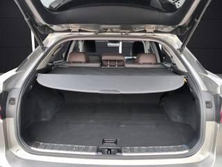 LEXUS RX 450h usata, con Antifurto