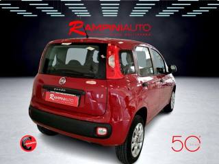 FIAT Panda usata 7