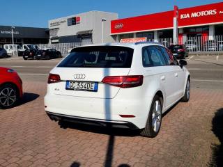 AUDI A3 usata, con Airbag testa
