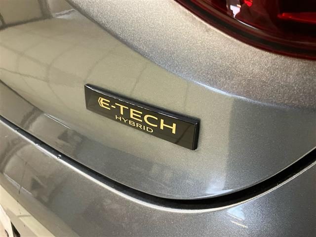 RENAULT Clio usata 24