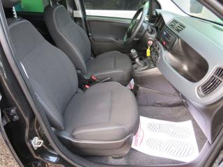 FIAT Panda usata 16