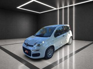 FIAT Panda usata, con Controllo trazione