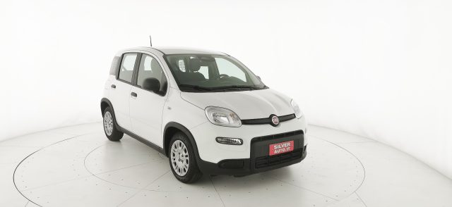 FIAT Panda usata 25