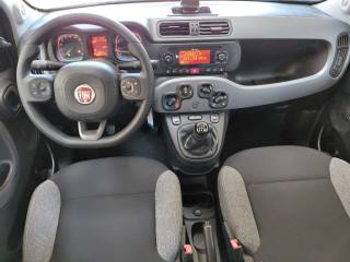 FIAT Panda usata, con Lettore CD