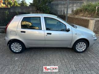 FIAT Punto usata 13