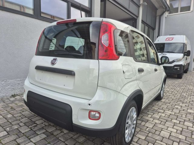 FIAT Panda usata, con Airbag Passeggero