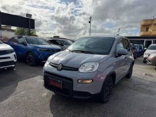 FIAT Panda usata, con Antifurto