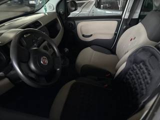 FIAT Panda usata, con Airbag Passeggero
