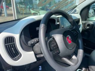 FIAT Pandina usata, con ESP