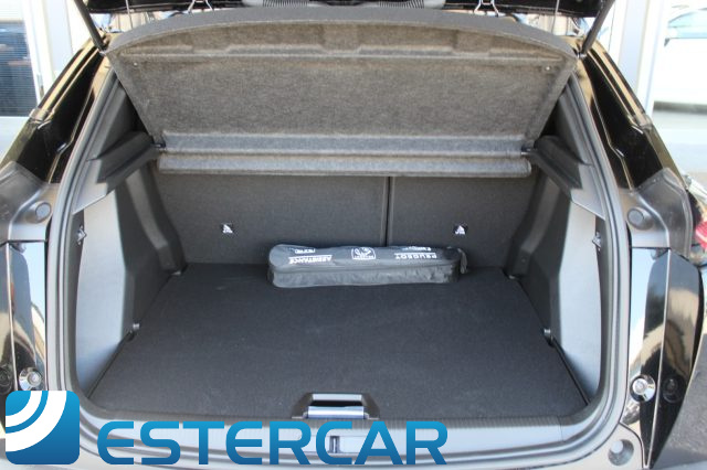 PEUGEOT 2008 usata, con Vetri oscurati