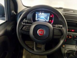 FIAT Panda usata, con Controllo trazione