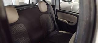 FIAT Panda usata, con Immobilizzatore elettronico