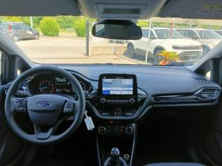 FORD Fiesta usata, con Fendinebbia