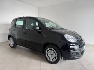 FIAT Pandina usata 15