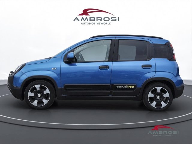 FIAT Panda usata 5