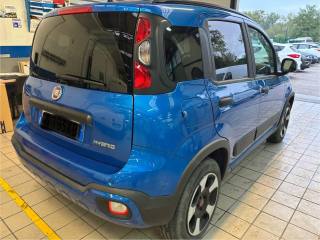FIAT Panda Cross usata, con Controllo trazione